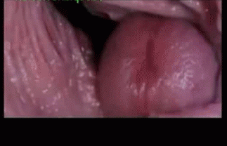 best of Inside from camera vagina