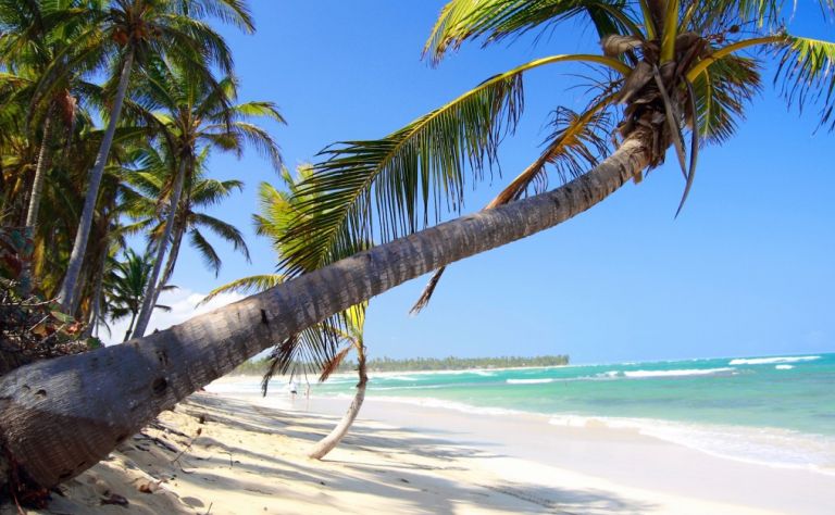 best of Punta cana holiday