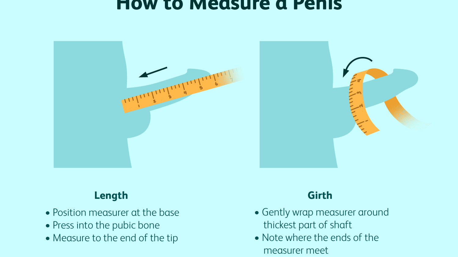 best of Size ideal penis ruler measure women