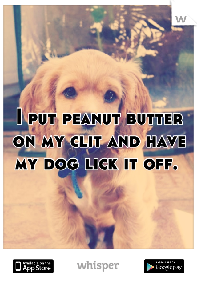 best of Play peanut licks butter happily puppy