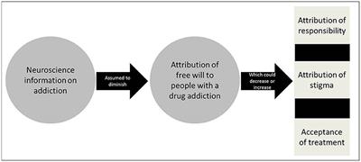 Drug addiction causes addicts lose