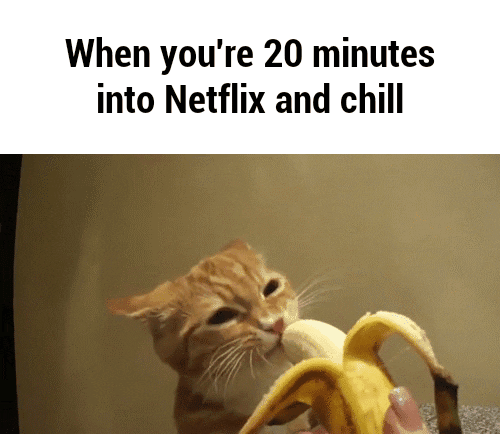 Mittens reccomend comes over netflix chill