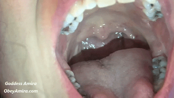 Senior reccomend alexandria endoscopic mouth tour