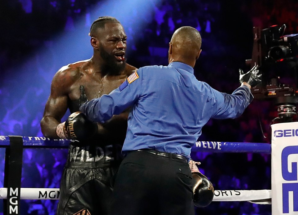 best of Owned wilder gets tyson fury deontay
